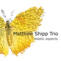Purchase The Matthew Shipp Trio - Elastic Aspects