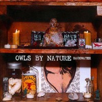 Purchase Owls By Nature - Backwater
