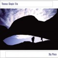 Buy Thomas Chapin - Sky Piece Mp3 Download