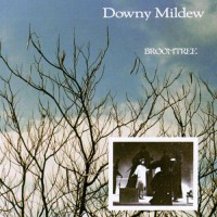 Purchase Downy Mildew - Broomtree