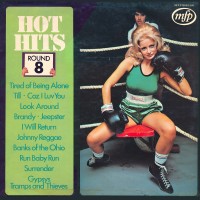 Purchase Unknown Artist - MFP: Hot Hits Vol. 8 (Vinyl)