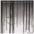 Buy Pablo Held - Forest Of Oblivion Mp3 Download