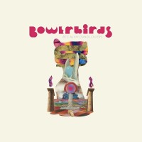 Purchase Bowerbirds - Becalmyounglovers