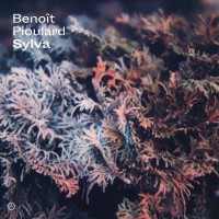 Purchase Benoit Pioulard - Sylva