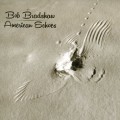 Buy Bob Bradshaw - American Echoes Mp3 Download