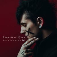 Purchase SayWeCanFly - Beautiful Mess