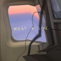Purchase Scarlet Pleasure - What A Life (CDS)
