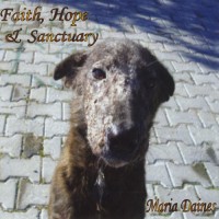 Purchase Maria Daines - Faith Hope & Sanctuary