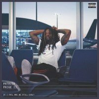 Purchase Patrick Paige II - If I Fail Are We Still Cool?