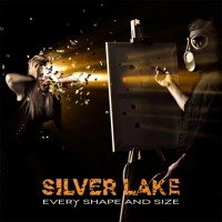 Purchase Silver Lake - Every Shape And Size