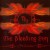 Buy The Bleeding Sun - Nessare Mp3 Download