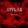 Buy Attlas - Bloom (EP) Mp3 Download