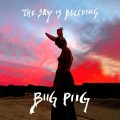 Buy Biig Piig - The Sky Is Bleeding Mp3 Download