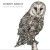 Buy Robert Babicz - The Owl & The Butterfly Mp3 Download