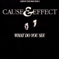 Buy Cause & Effect - What Do You See? (MCD) Mp3 Download