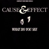 Purchase Cause & Effect - What Do You See? (MCD)