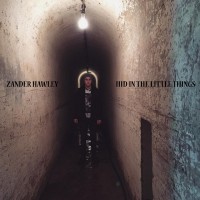 Purchase Zander Hawley - Hid In The Little Things (CDS)