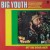 Buy Big Youth - Hit The Road Jack (Reissued 1995) Mp3 Download
