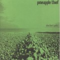 Buy The Pineapple Thief - Sherbert Gods (Vinyl) Mp3 Download