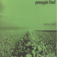Purchase The Pineapple Thief - Sherbert Gods (Vinyl)
