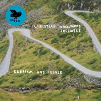 Purchase Christian Wallumrod Ensemble - Kurzsam And Fulger