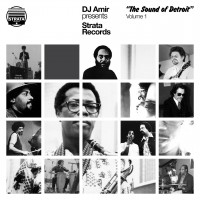 Purchase VA - DJ Amir Presents: Strata Records - The Sound Of Detroit Vol. 1