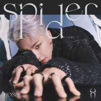 Purchase Hoshi (호시) - Spider (CDS)