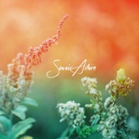 Purchase Savoir Adore - Full Bloom