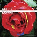 Buy Bruce Kaphan - Hybrid Mp3 Download