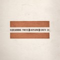 Buy Screaming Trees - Asylum (VLS) Mp3 Download