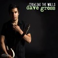 Buy Dave Gross - Crawling The Walls Mp3 Download