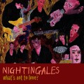 Buy Nightingales - What's Not To Love? Mp3 Download