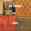 Buy For Squirrels - Example Mp3 Download