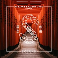 Purchase Ace2Ace & Agent Greg - I Want U (CDS)