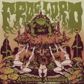 Buy Froglord - Amphibian Ascending Mp3 Download