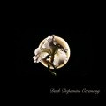 Buy Class Actress - Dark Dopamine Ceremony (CDS) Mp3 Download