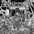 Buy Crippled Fox - The Final Thrash Mp3 Download