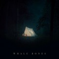 Buy Whale Bones - The Doors Are Locked, The Blinds Are Closed, I Am Not Home Mp3 Download