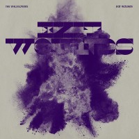 Purchase Wallflowers - Exit Wounds