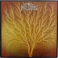 Buy Van der Graaf Generator - Still Life (Remastered 2009) Mp3 Download