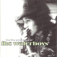 Purchase The Waterboys - The Live Adventures Of The Waterboys CD1