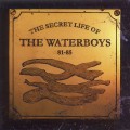 Buy The Waterboys - The Secret Life Of The Waterboys (1981-1985) Mp3 Download
