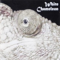 Purchase White Chameleon - White Chameleon