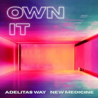 Purchase Adelitas Way - Own It (CDS)