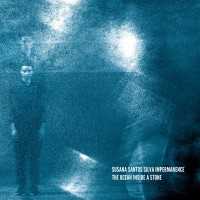 Purchase Susana Santos Silva Impermanence - The Ocean Inside A Stone