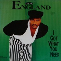 Purchase Colin England - I Got What You Need (VLS)