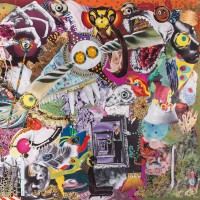 Purchase Giraffes? Giraffes! - Memory Lame