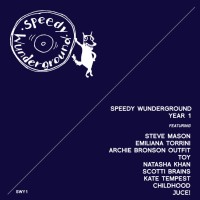 Purchase VA - Speedy Wunderground - Year 1