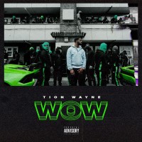 Purchase Tion Wayne - WOW (CDS)