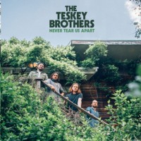 Purchase The Teskey Brothers - Never Tear Us Apart (CDS)